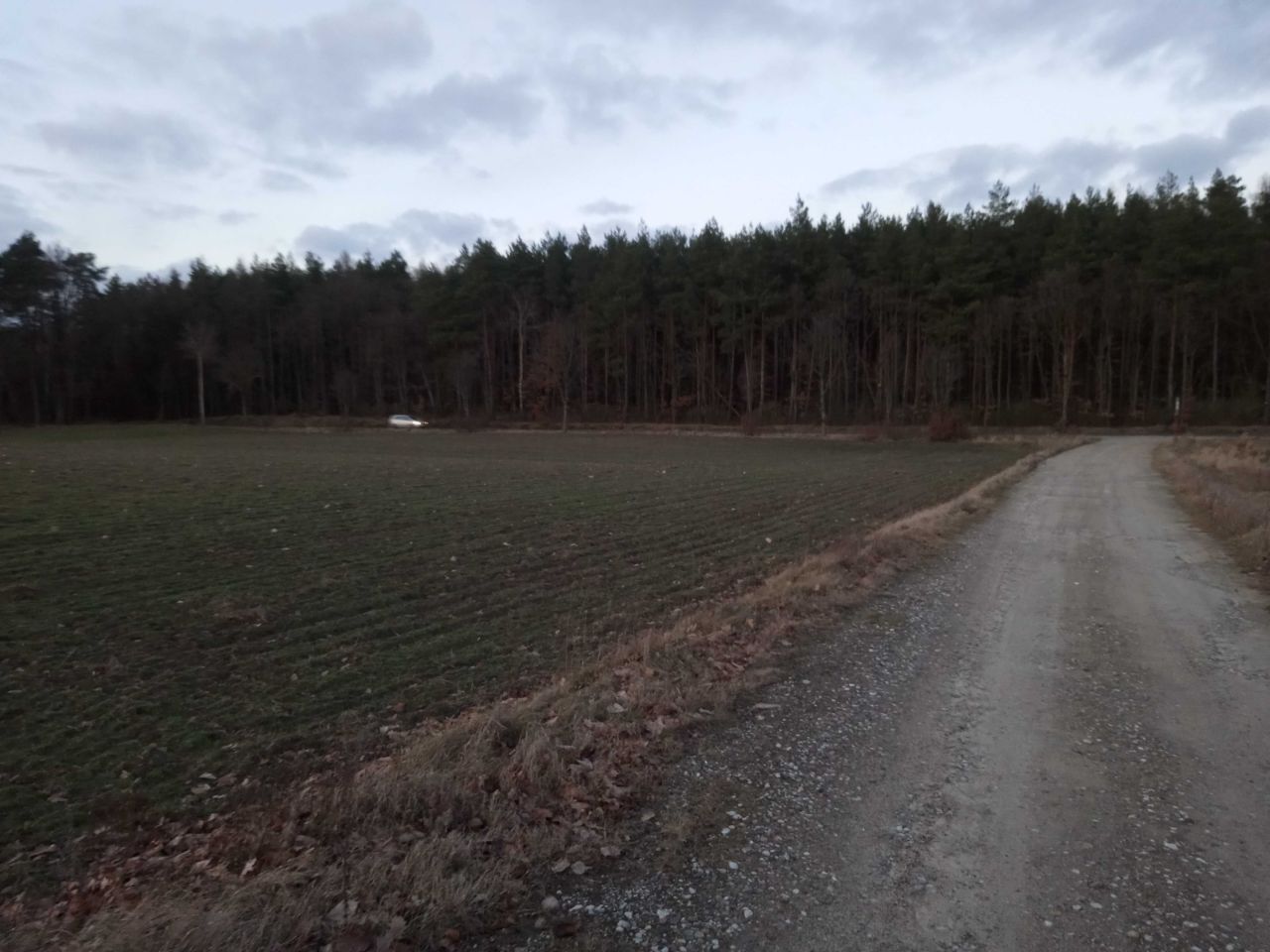 Działka budowlana Ciche. Zdjęcie 2