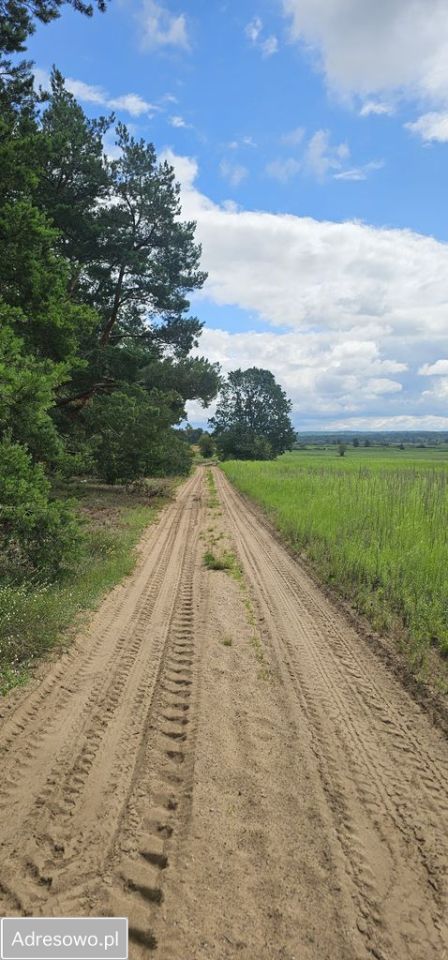 Działka rolno-budowlana Leńce. Zdjęcie 3