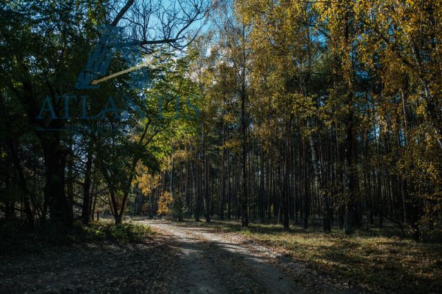 Działka budowlana Januszkowo. Zdjęcie 8