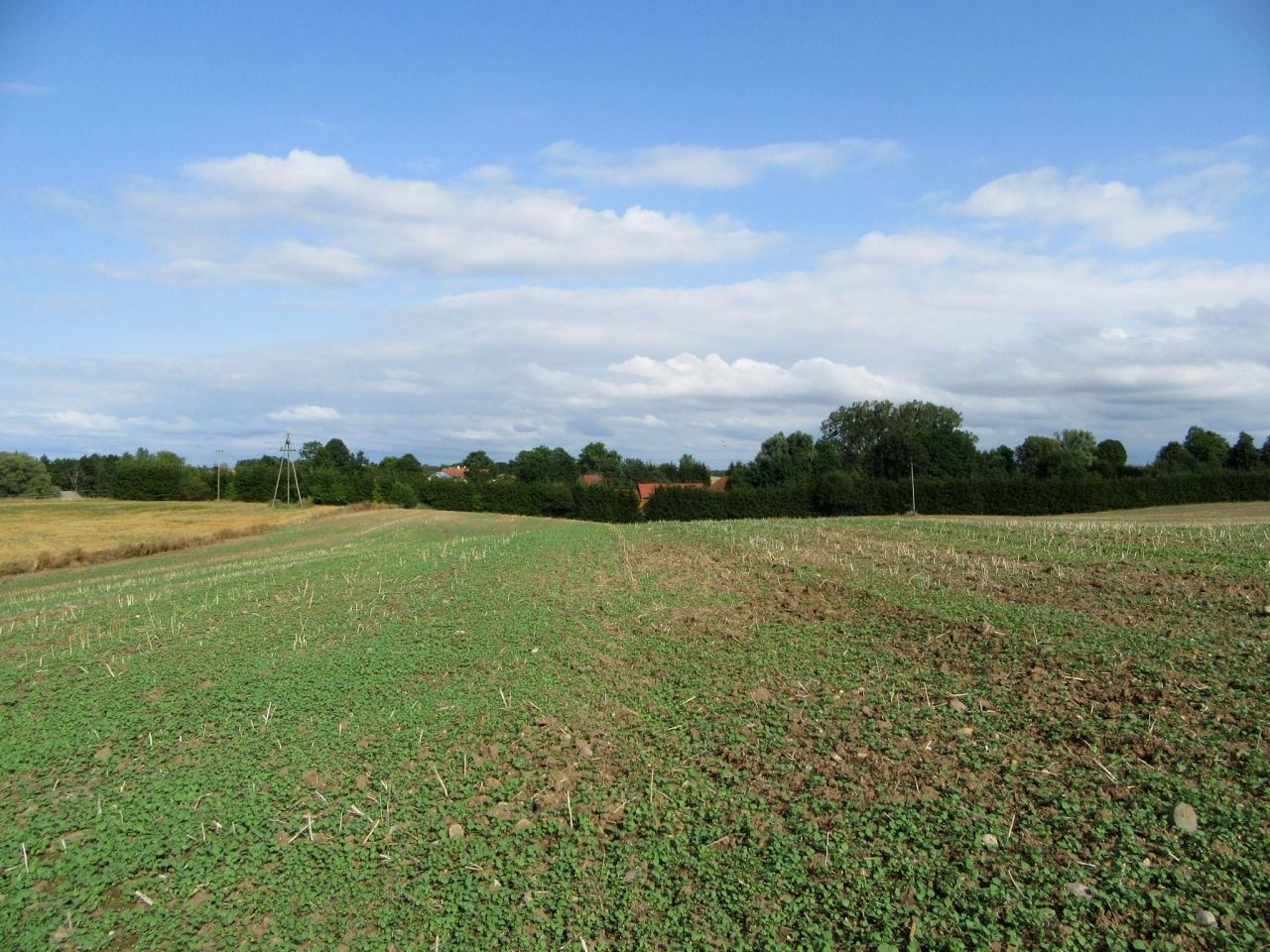 Działka rolna Strużyna. Zdjęcie 10