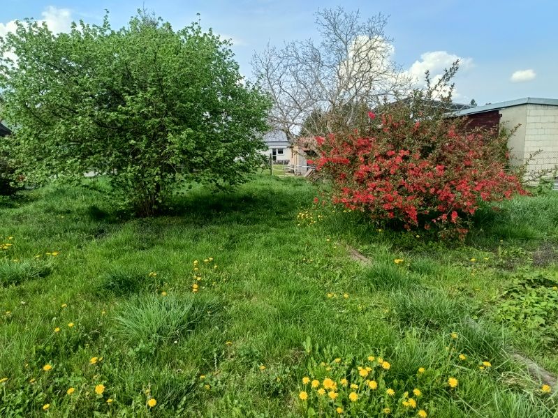 Działka rolno-budowlana Hrubieszów, ul. Gródecka. Zdjęcie 8