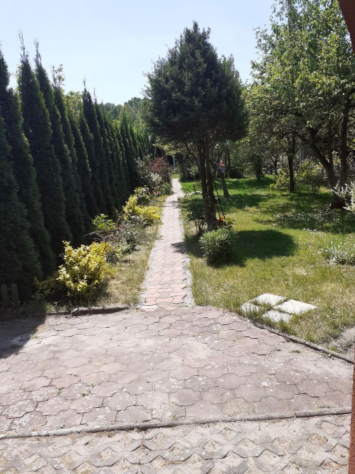 Działka rod Zielona Góra, ul. Osiedle Pomorskie. Zdjęcie 18