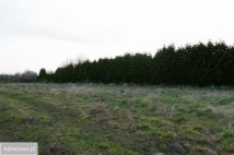 Działka rolna Łasin Koszaliński. Zdjęcie 4