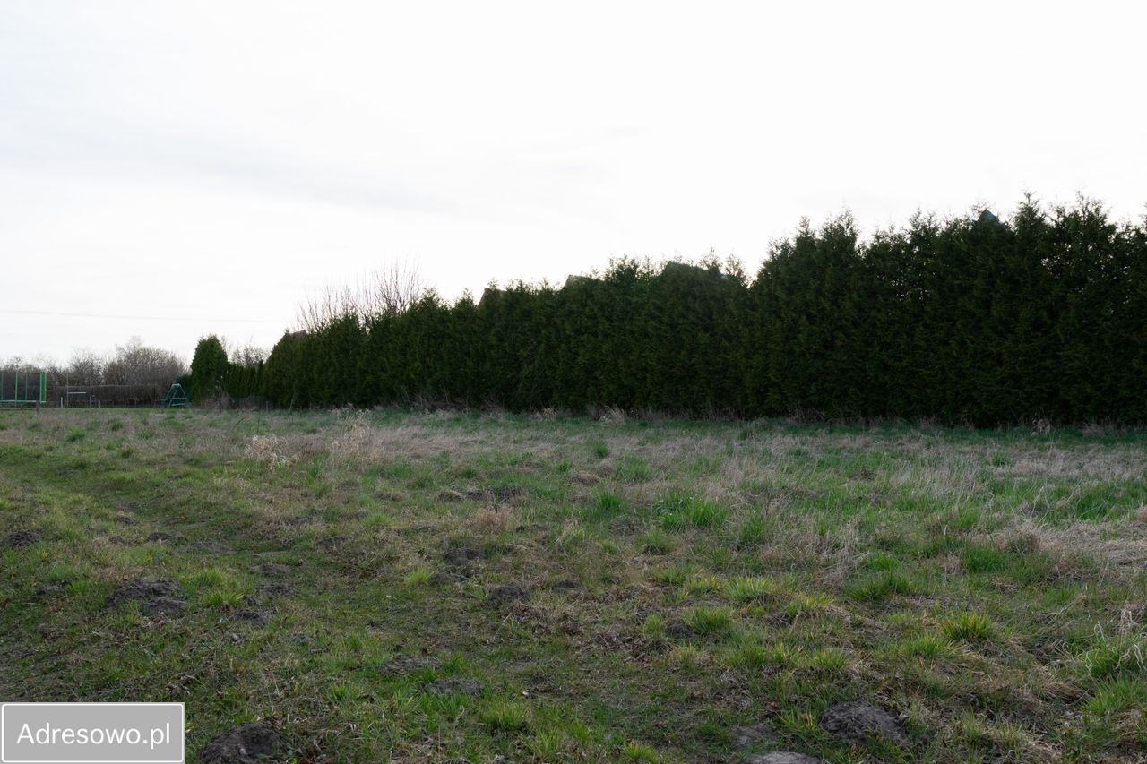 Działka rolna Łasin Koszaliński. Zdjęcie 5