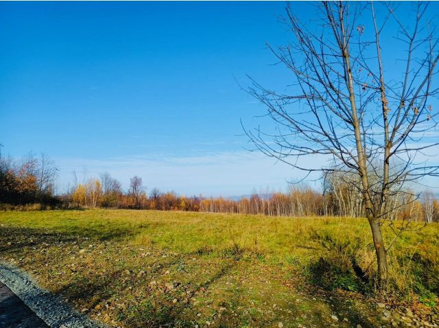 Działka inna Polanica-Zdrój Nowy Wielisław, ul. Graniczna. Zdjęcie 1