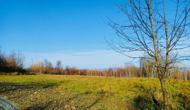 Działka inna Polanica-Zdrój Nowy Wielisław, ul. Graniczna