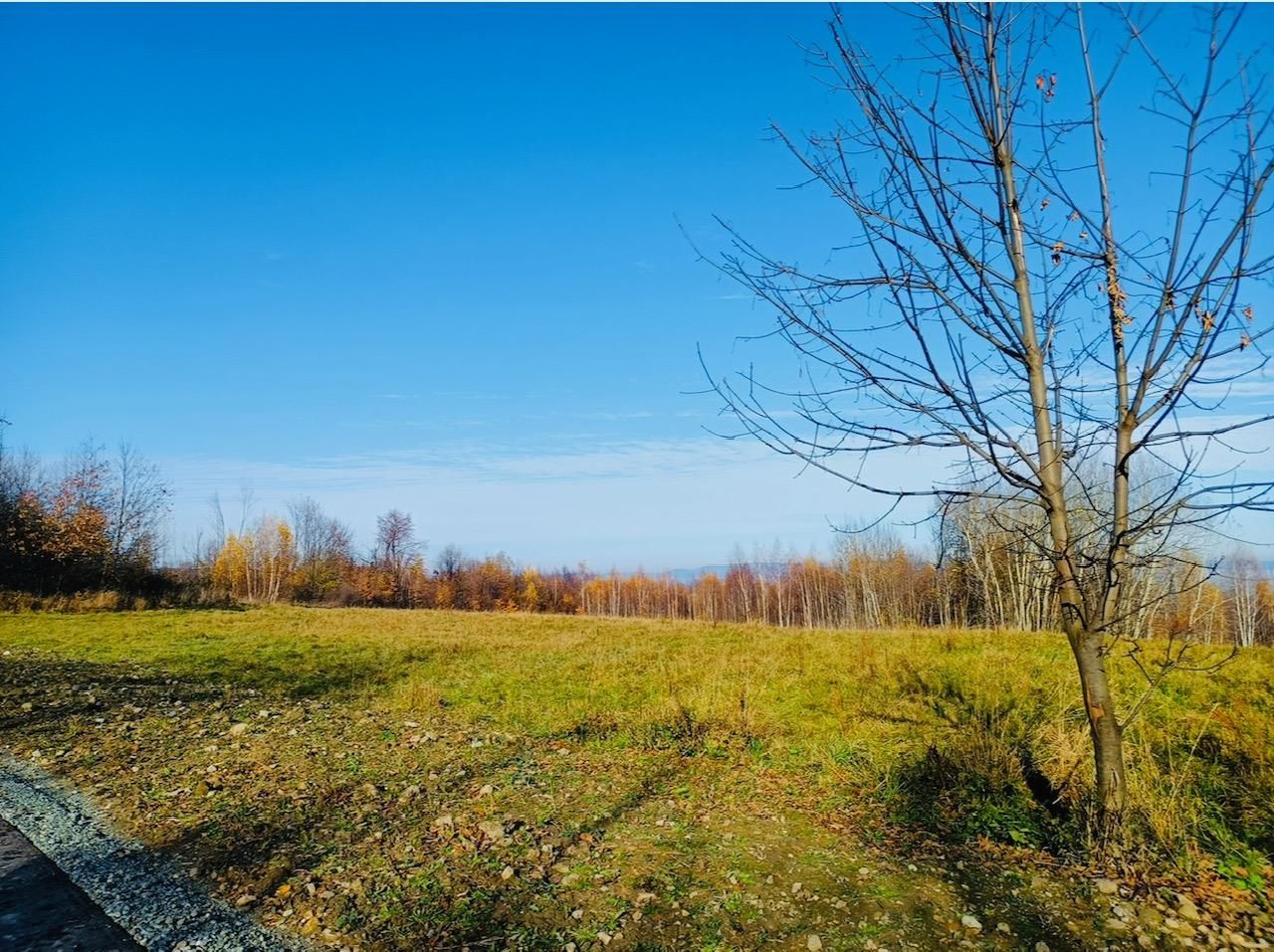 Działka inna Polanica-Zdrój Nowy Wielisław, ul. Graniczna