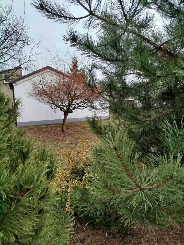 Działka rod Zduńska Wola, Mostowa/Północna. Zdjęcie 2