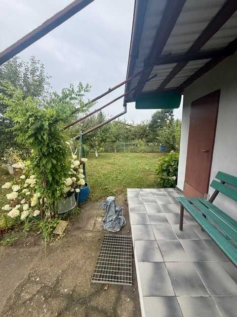 Działka rod Jelcz-Laskowice. Zdjęcie 6