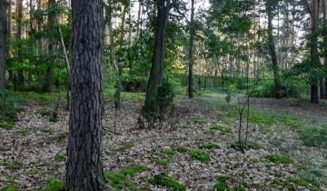Działka leśna Słopsk
