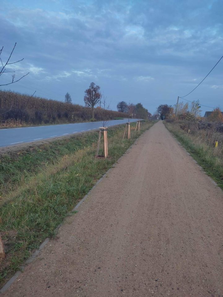 Działka rolno-budowlana Maleczewo. Zdjęcie 7