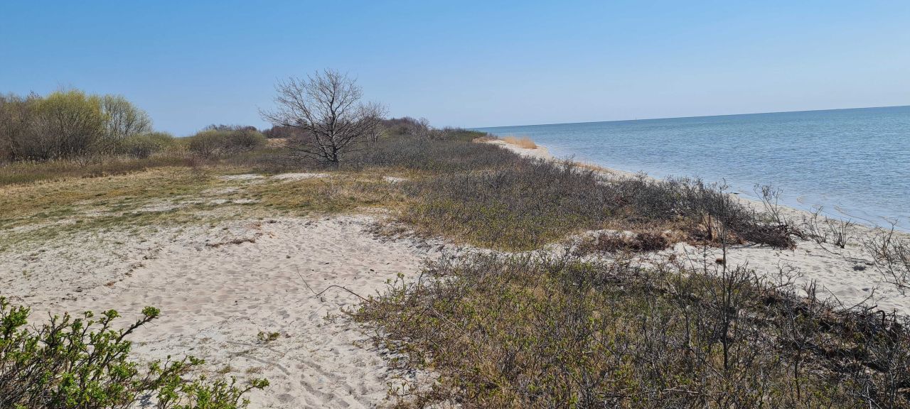 Działka rolna Jastarnia. Zdjęcie 4