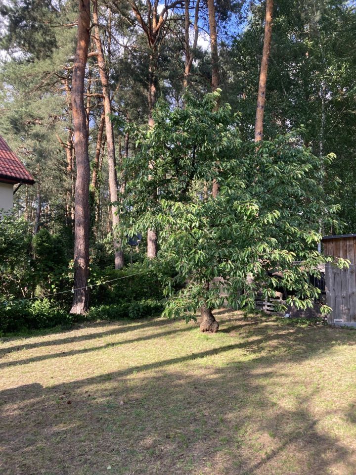 dom wolnostojący, 3 pokoje Czarnów Nowy Czarnów, Nowy czarnow. Zdjęcie 8