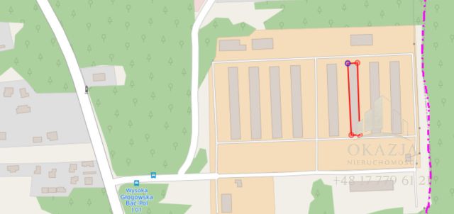 Lokal Wysoka Głogowska. Zdjęcie 16