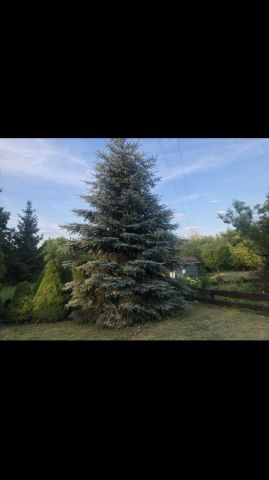 Działka rod Białystok Centrum, ul. Konstantego Ciołkowskiego. Zdjęcie 1