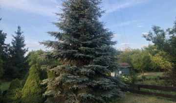 Działka rod Białystok Centrum, ul. Konstantego Ciołkowskiego