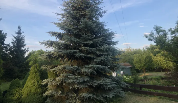 Działka rod Białystok Centrum, ul. Konstantego Ciołkowskiego