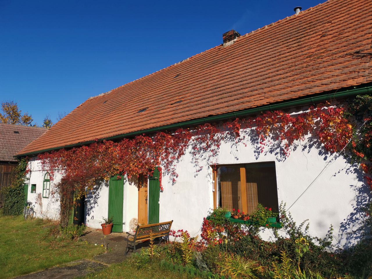 dom wolnostojący, 3 pokoje Siemysłów Wielka Kolonia