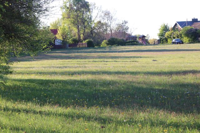 Działka budowlana Majdan. Zdjęcie 5