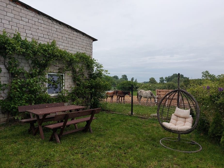 gospodarstwo, 6 pokoi Radzyń-Wybudowanie. Zdjęcie 10