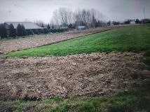 Działka rolno-budowlana Głuchów. Zdjęcie 1