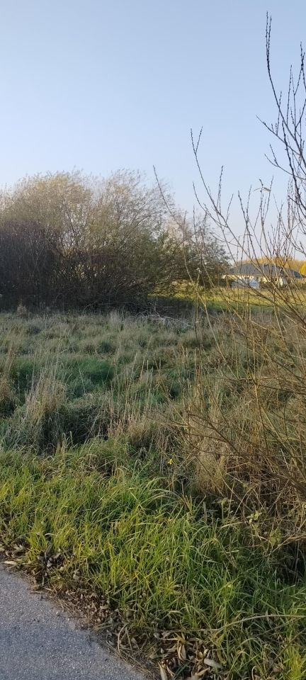 Działka rolno-budowlana Żelechów, ul. Żużlowa. Zdjęcie 8