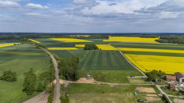 Działka inwestycyjna Poniatowice. Zdjęcie 10