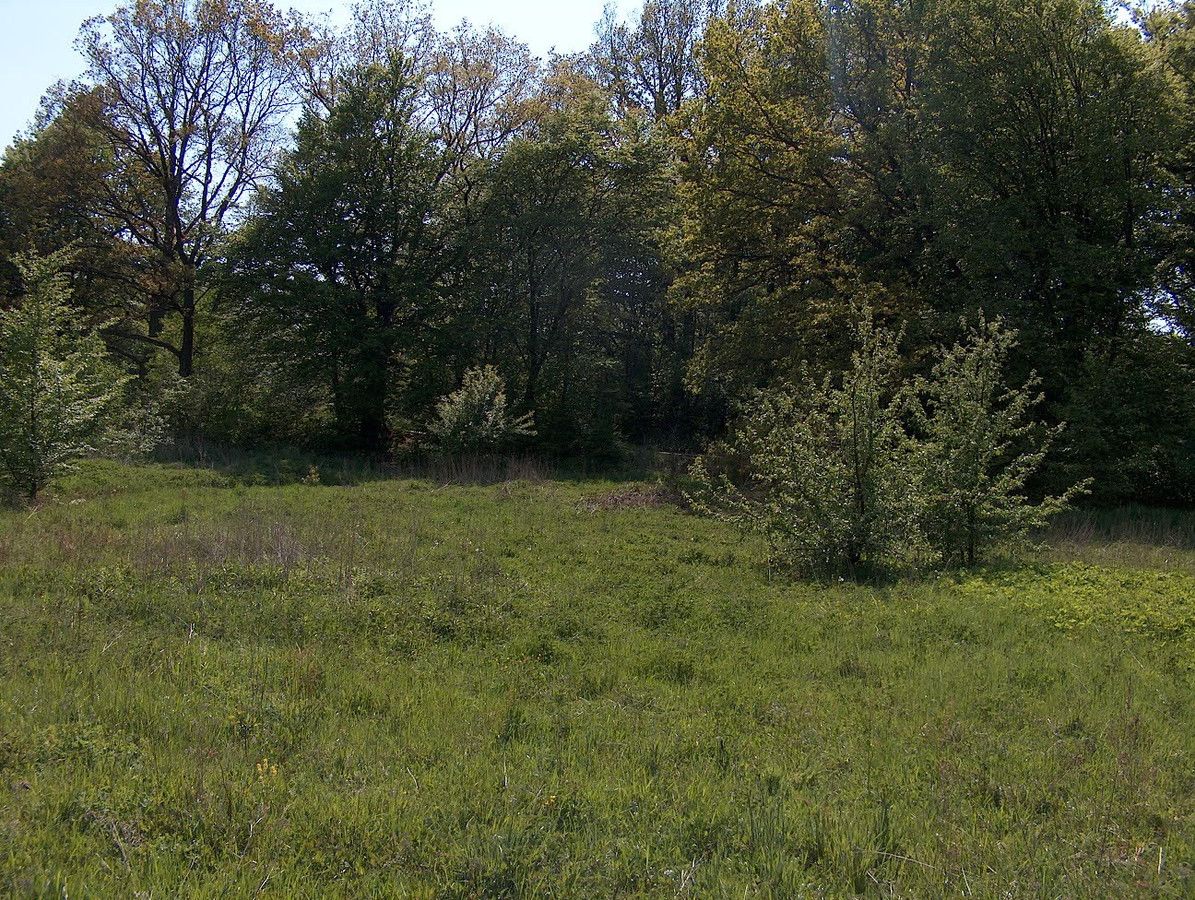 Działka budowlana Włynkówko, ul. Aleja nad Rzeką. Zdjęcie 5