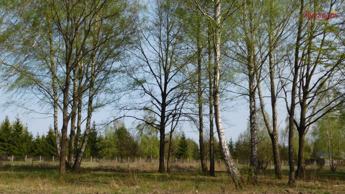 Działka budowlana Chojnów, ul. Graniczka. Zdjęcie 2