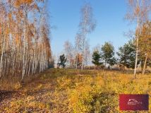 Działka budowlana Nowomłyny. Zdjęcie 4