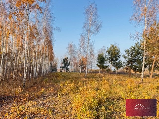 Działka budowlana Nowomłyny. Zdjęcie 6