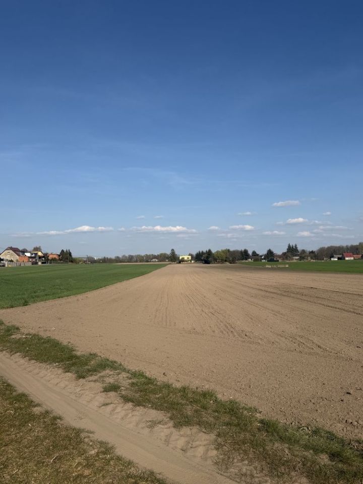 Działka budowlana Osiek. Zdjęcie 3