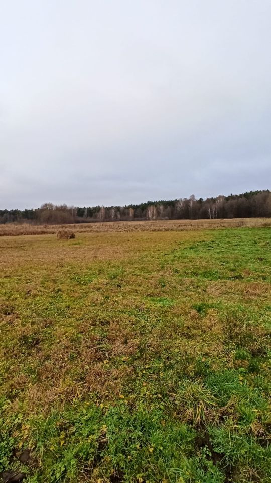 Działka rolna Doleck. Zdjęcie 4