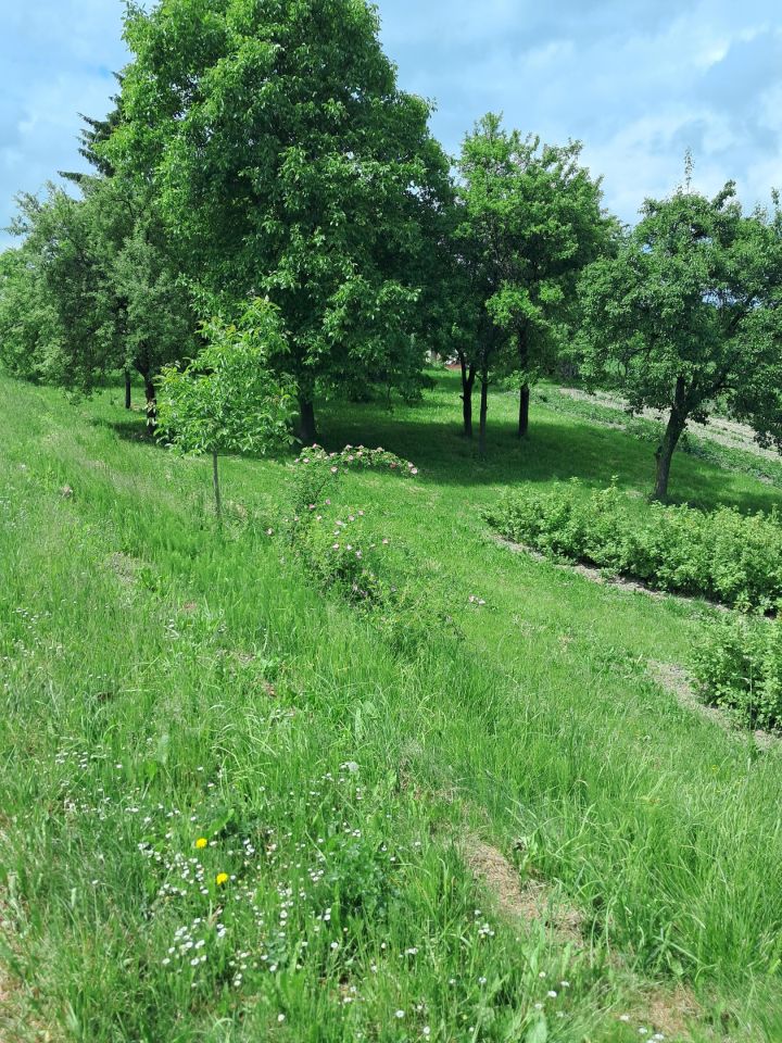 gospodarstwo, 2 pokoje Orchowiec. Zdjęcie 16