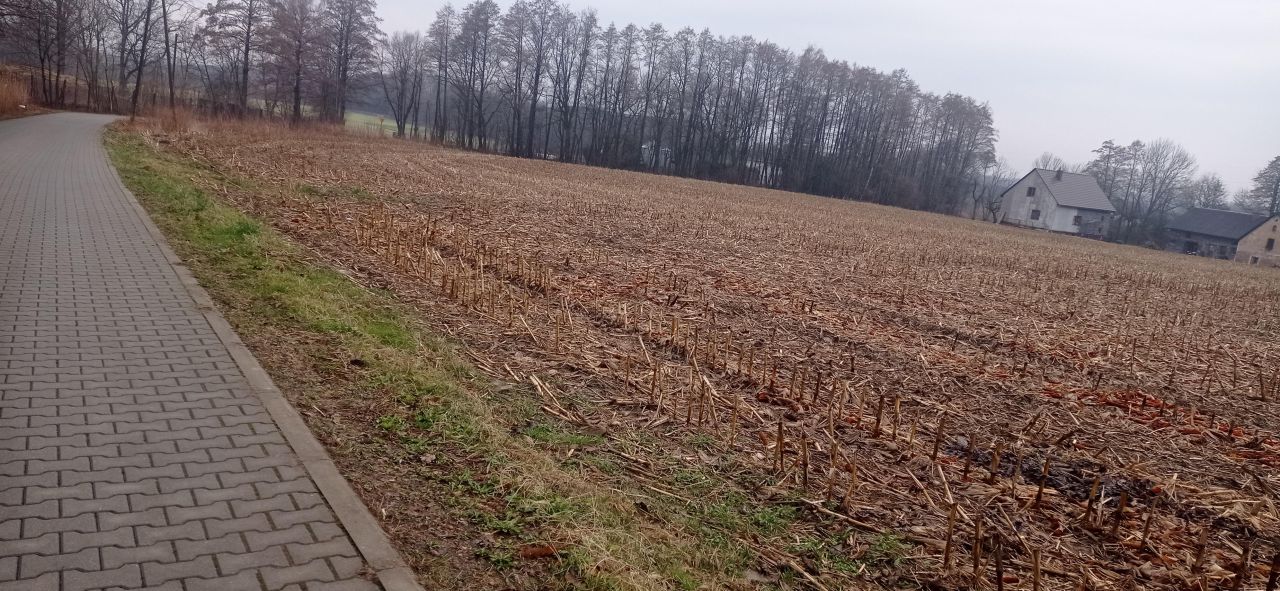Działka budowlana Rudołtowice, ul. Wincentego Witosa. Zdjęcie 4