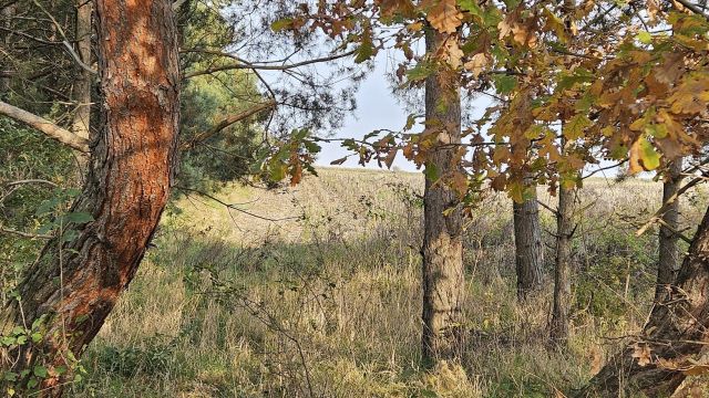 Działka budowlana Nasławice, ul. 1 Maja. Zdjęcie 1