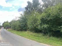 Działka budowlana Września. Zdjęcie 4