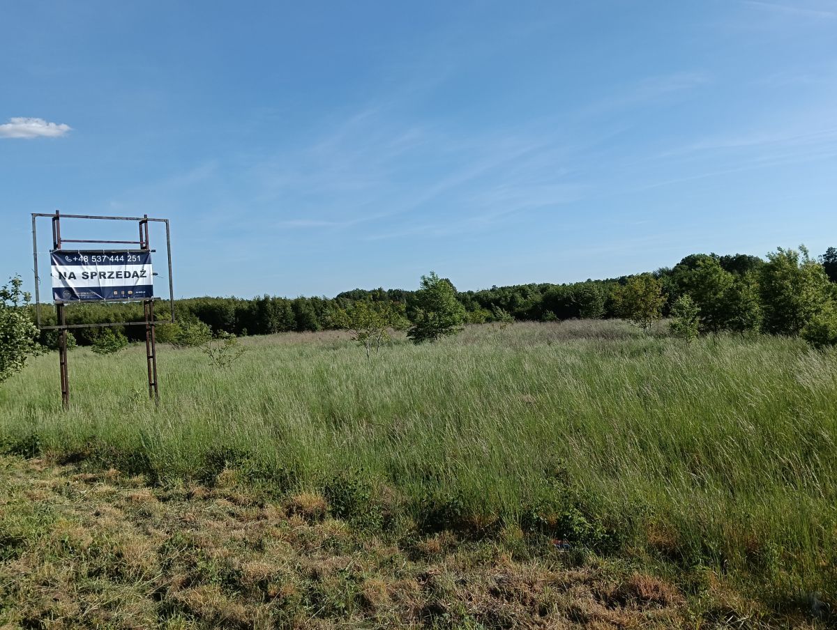Działka inwestycyjna Aleksandria. Zdjęcie 8