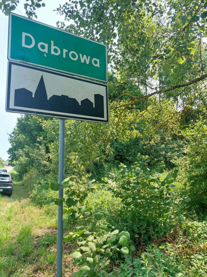 Działka rolno-budowlana Dąbrowa Goszczewicka. Zdjęcie 2