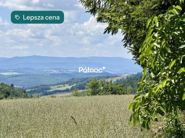 Działka budowlana Dziwiszów. Zdjęcie 1