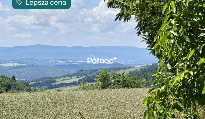 Działka budowlana Dziwiszów