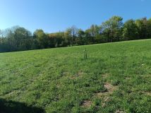 Działka rekreacyjna Wujskie. Zdjęcie 3