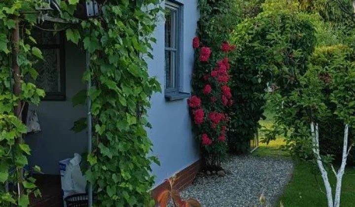 Działka rod Żory, ul. Okrężna