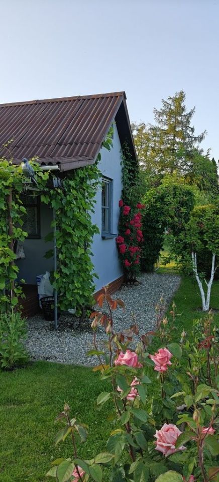 Działka rod Żory, ul. Okrężna