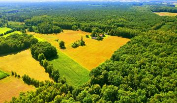 Działka budowlana Kaznów-Kolonia Pod Lasem, brak
