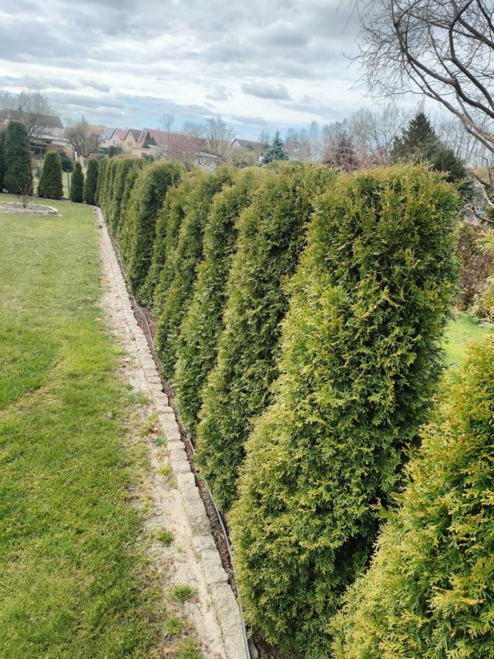 Działka rod Nowa Sól, ul. Chałubińskiego. Zdjęcie 4