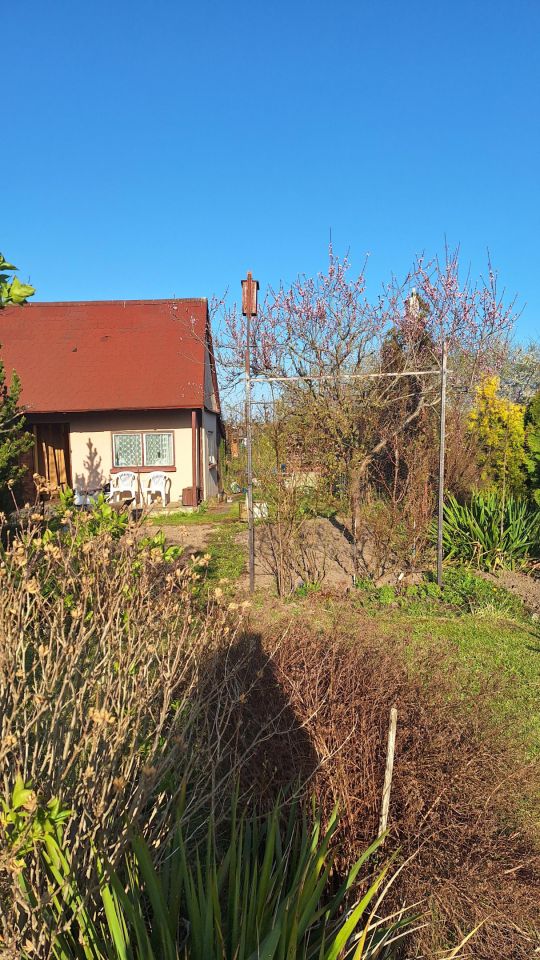 Działka rod Koszalin Północ, ul. Aleja Europejska. Zdjęcie 13