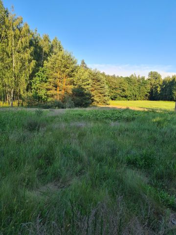Działka rolno-budowlana Osiek Zamoście. Zdjęcie 1
