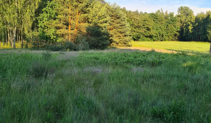 Działka rolno-budowlana Osiek Zamoście