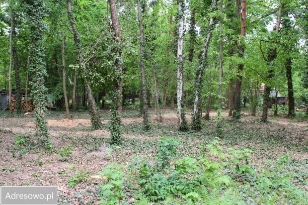 Działka budowlana Podkowa Leśna, ul. Wiewiórek. Zdjęcie 14